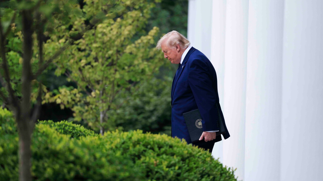 Trump rose gar