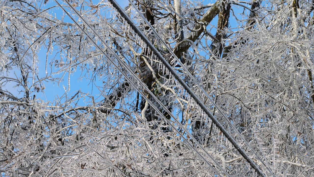 Ice covers trees and power lines in east Nashville, Tennessee, on Jan. 26.