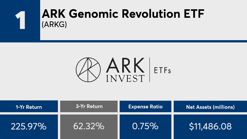 FP020821_01 copy.png