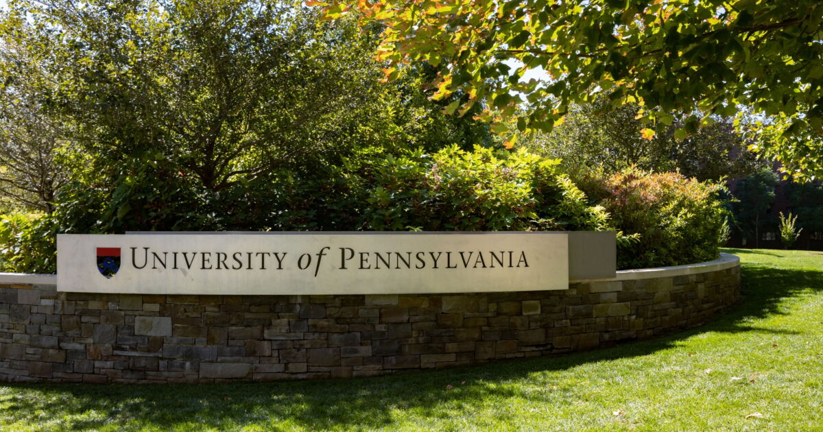 Students can’t afford to become CPAs Students can’t afford to become CPAs