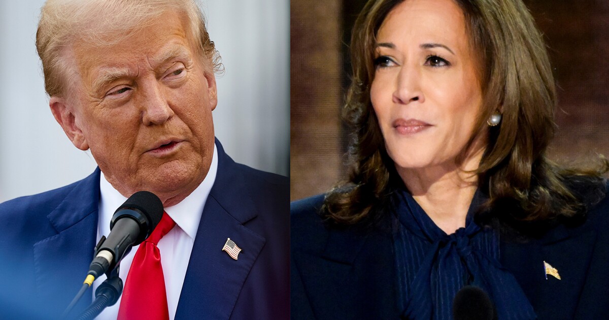 The shares, bonds and currencies traders are watching in the course of the Trump-Harris debate The shares, bonds and currencies traders are watching in the course of the Trump-Harris debate