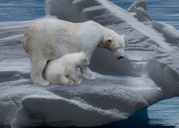 Wall Street banks say they're committed to fighting climate change, but they send hundreds of billions of dollars to oil, gas and coal companies.