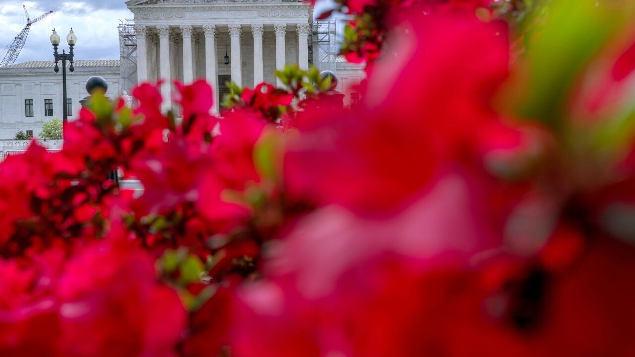 Red flowers bloomed in the foreground of the U.S. Supreme Court in Washington, D.C.