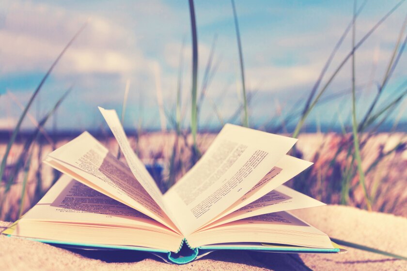 An open book sitting on a grassy sand dune on a beach.