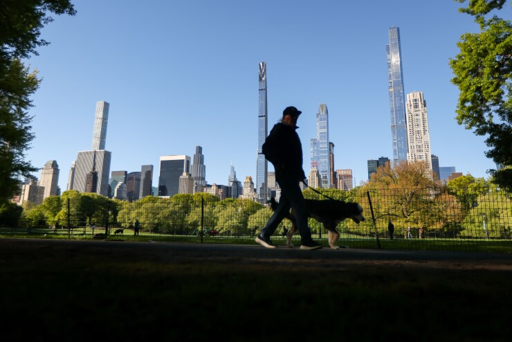 A man walking a dog in Central Park with residential luxury towers along Billionaire's Row in New York behind him