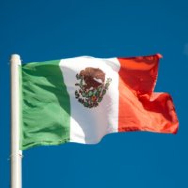 mexicanflag011812.jpg