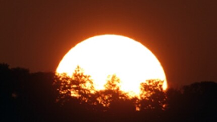 sunnn.jpg