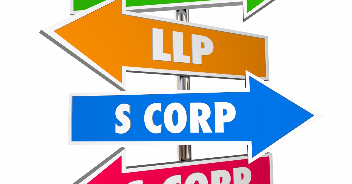 What clients should know about different LLC types What clients should know about different LLC types