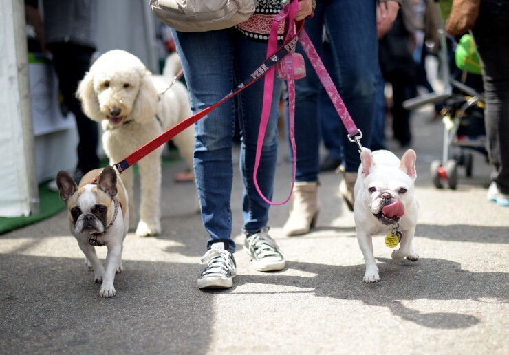 The pet care industry is booming in the U.S., where 68% of households have pets, compared with 41% that have children, according to data from Statista.