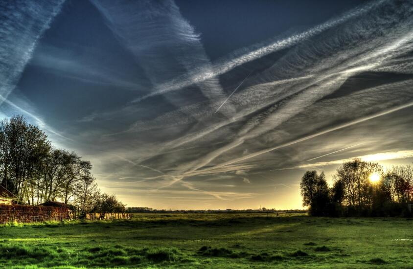 Contrails over meadow