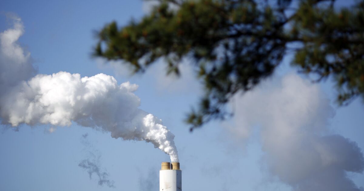 World banking group concern carbon accounting expectations