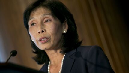 Nellie Liang, then director of financial stability policy and research with the Federal Reserve, speaking in Washington on May 31, 2013.
