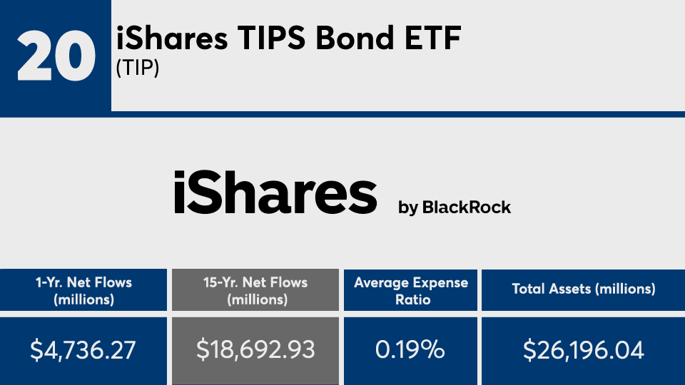 FP030821_20 copy.png