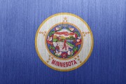 11.Minnesota.Healthcare.jpg
