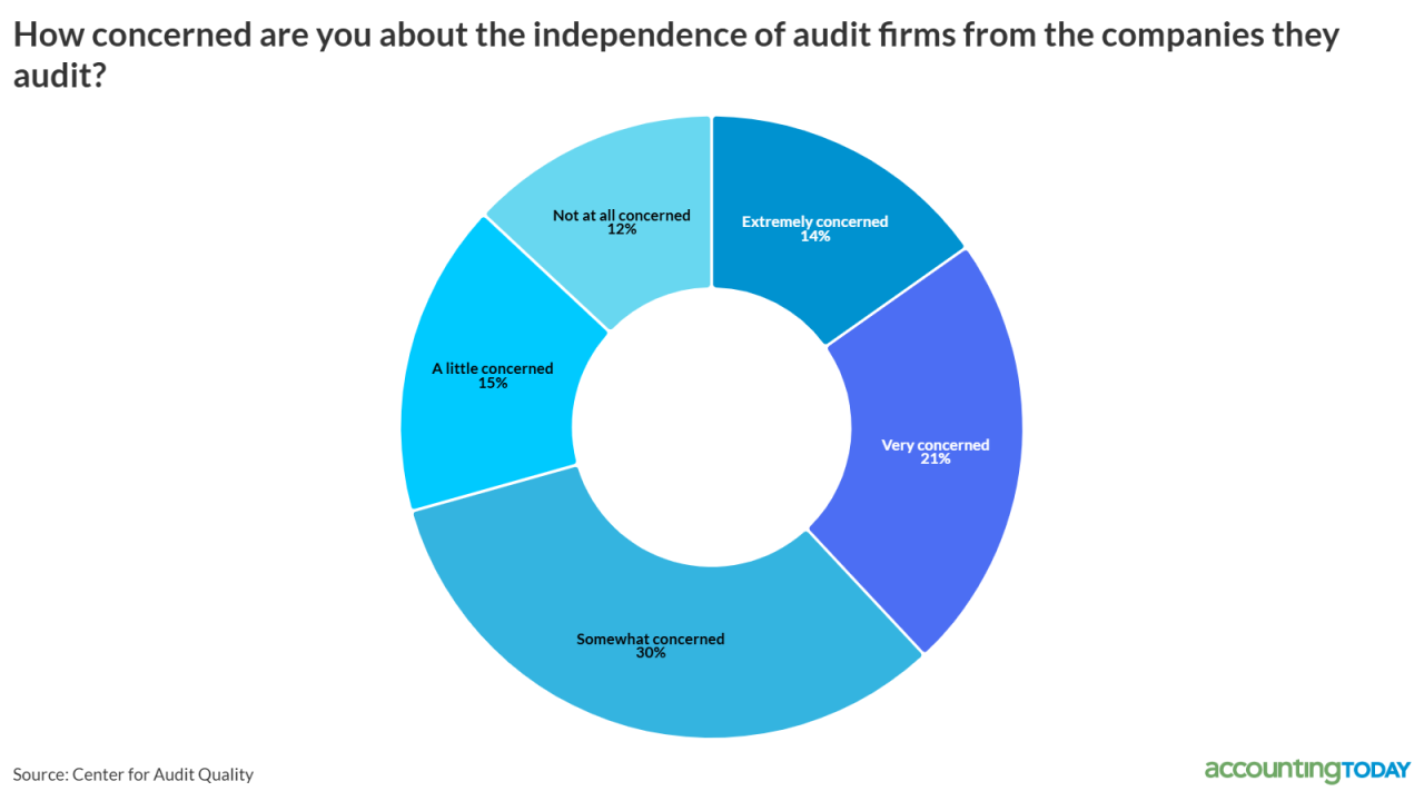 AT030426-Auditor independence.png