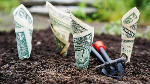Dollar bills that are twisted into flower-like shapes are planted in soli next to a gardening shovel, symbolizing investment