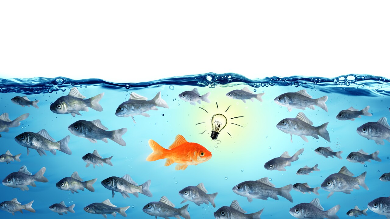 a fish going against the stream