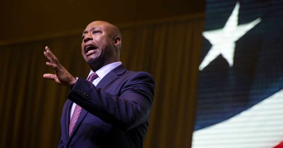 Chana Schoenberger Journalist Profile Intelligent Relations