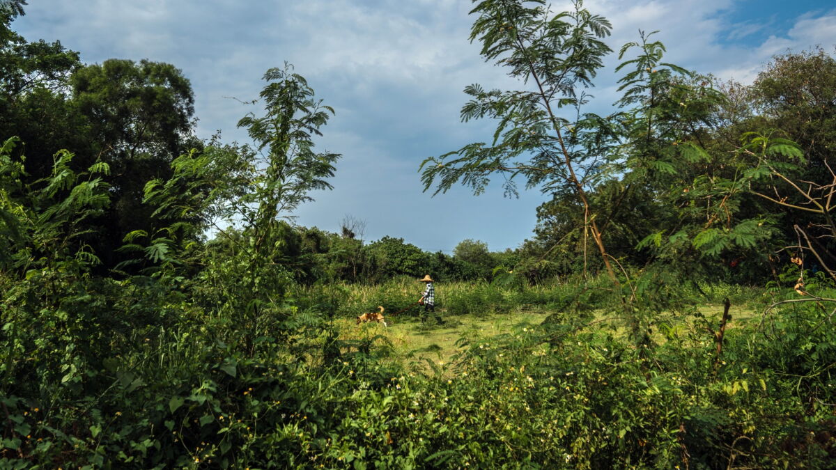 Why firms should care about 'green accounting' - Vimarsana News