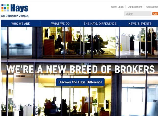 14_Hays-Group.jpg