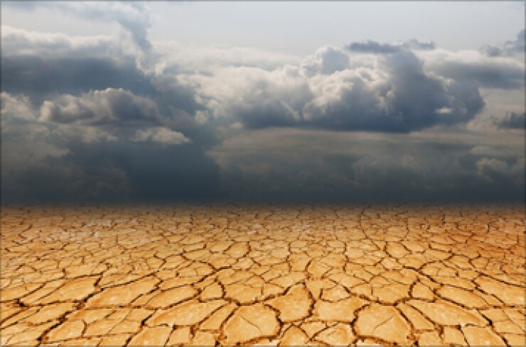drought-foto-357.jpg