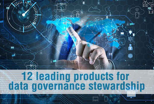 12-leading-products-for-data-governance-stewardship.jpg