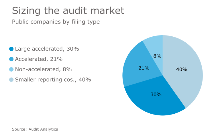 AT-041017- Audit market by filing type