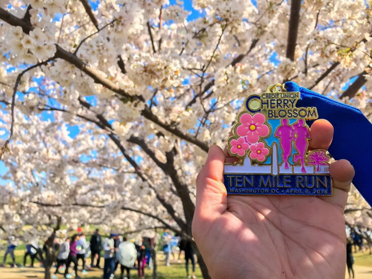 PenFed 1 - Cherry Blossom Race 2018 - CUJ 040918.jpg