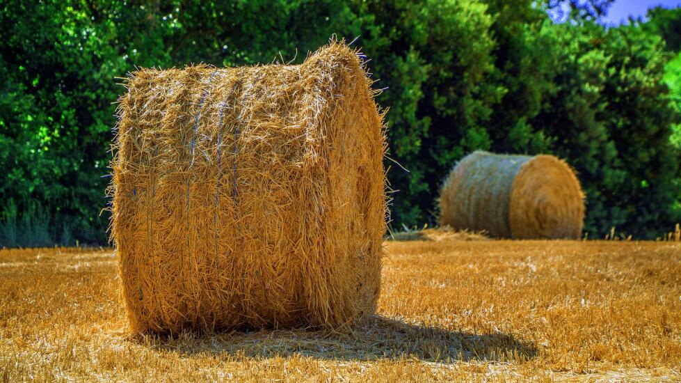 Intentionally selling losing stocks to generate tax benefits for other gains or income can produce different results.