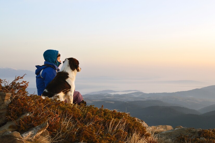 woman-dog-admiring-view-107370136-adobe.jpeg
