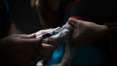 Veterinarian April 2019