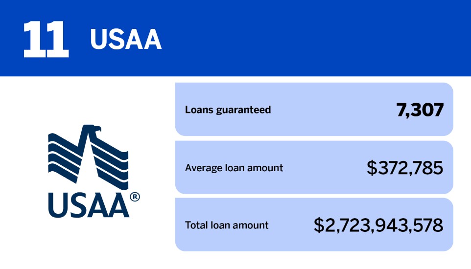 NMN_20 lenders with the most VA loans in 2024_11.jpg