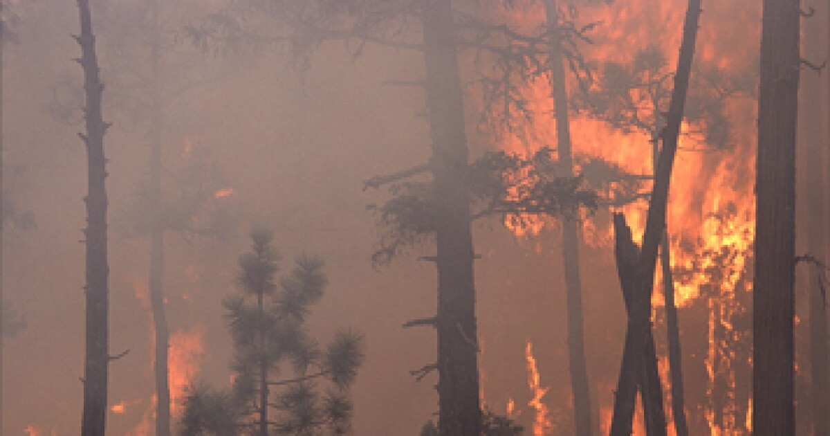 IRS grants tax relief to Washington wildfire victims IRS grants tax relief to Washington wildfire victims