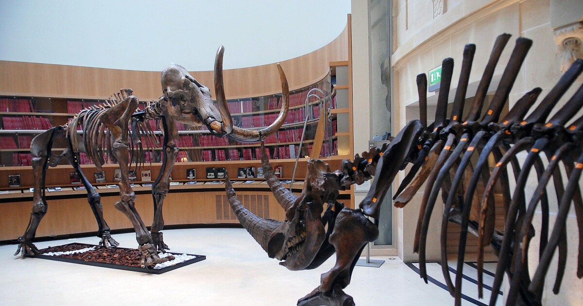 Tax break for clients with complex assets like real estate, antiques