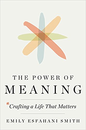 Book cover - Power of Meaning