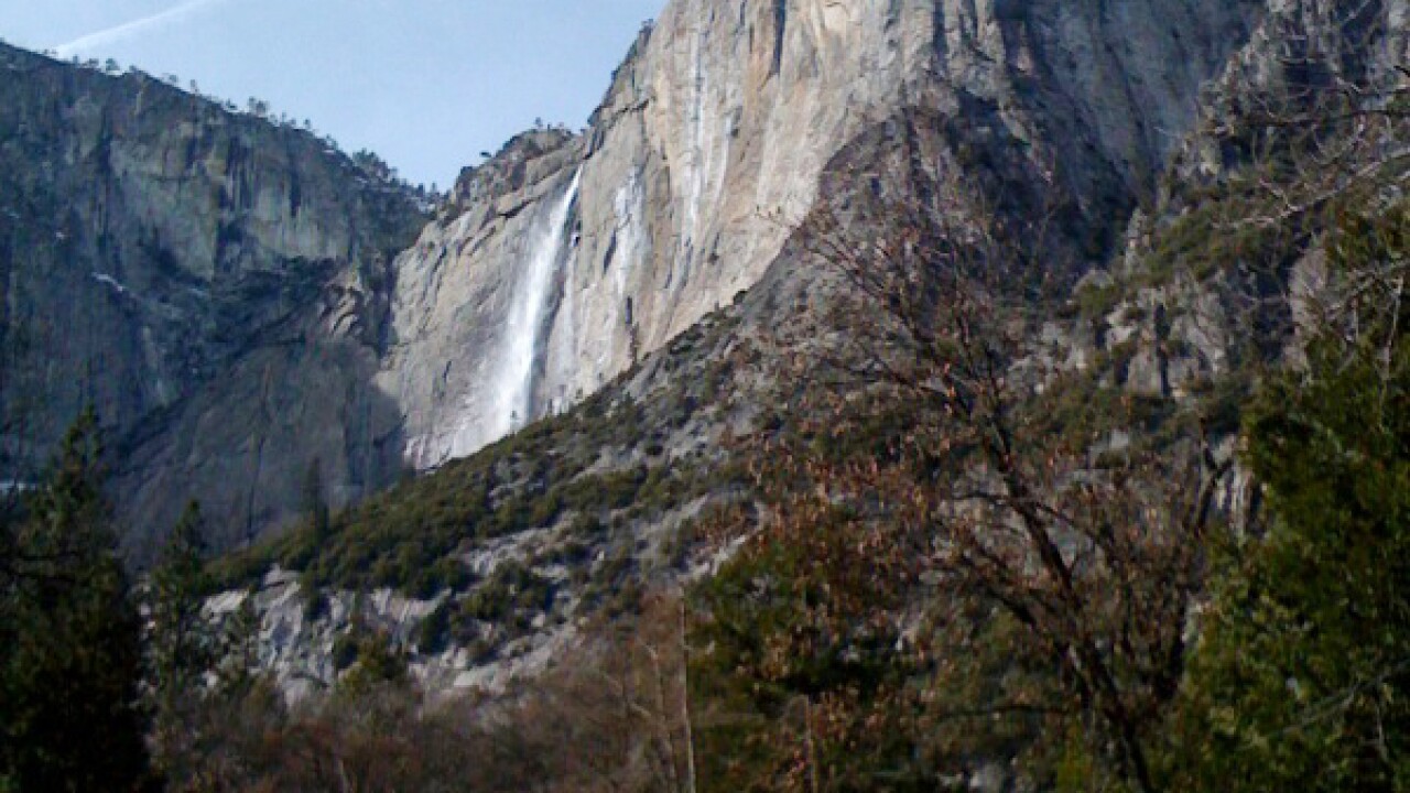 yosemite-branch.jpg