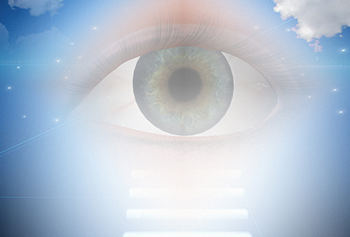 Visionaries 17.png
