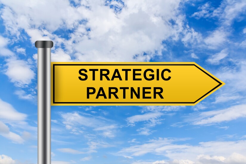 7) Strategic Alliances.jpg