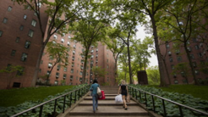 stuytownsteps.jpg