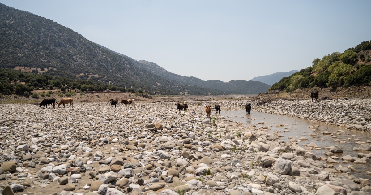 Climate risk mitigation measures need support, PwC expert says