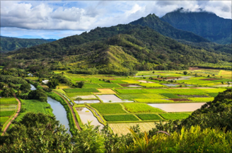 hanalei-valley-fotolia-357.jpg