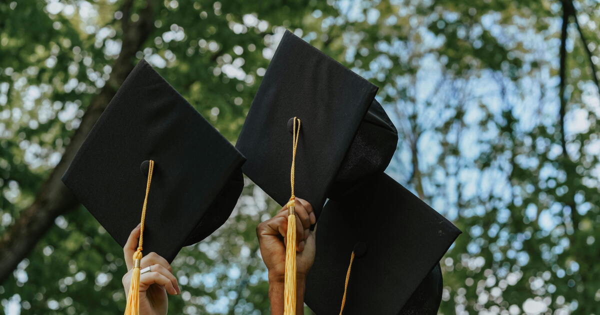 20 best entry level jobs of 2024 20 best entry level jobs of 2024
