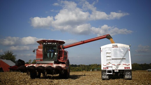 Corn harvested in Shelbyville, Kentucky for export to Mexico, 2013.