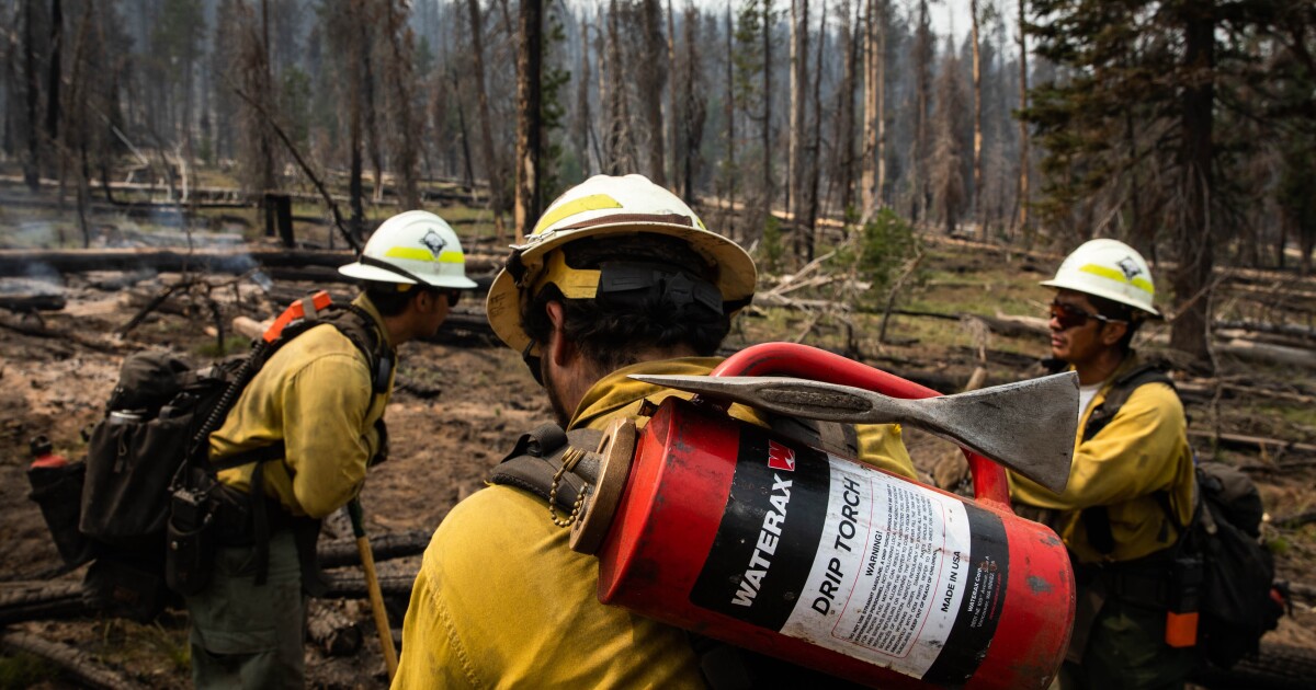 Fire season 'off to an aggressive start,' says Oregon Gov. Fire season 'off to an aggressive start,' says Oregon Gov.