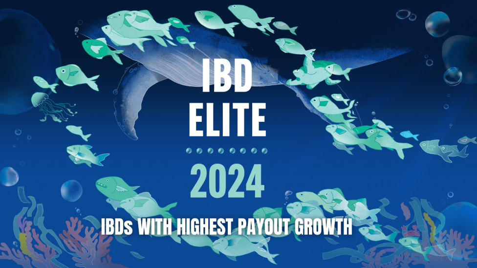 Smaller fish swim around a large whale underwater around a title that reads, "IBD Elite 2024: IBDs with highest payout growth"