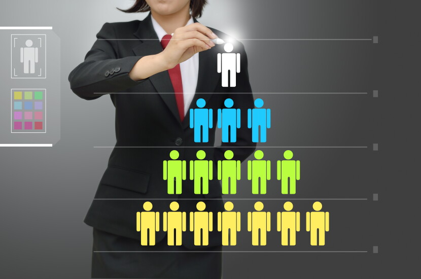 management levels