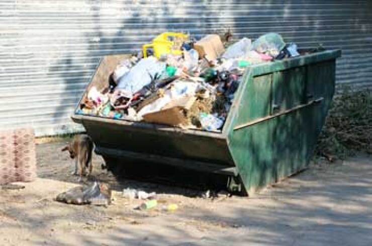 garbage-fotolia.jpg