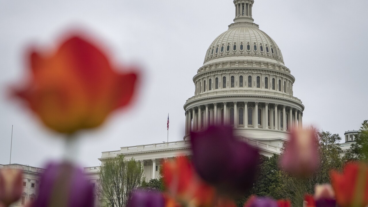 Tulips grow in front of the U.S. Capitol Building in Washington on April 18, 2019.