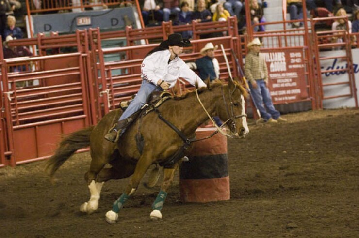 PA Farm show 2 (2).jpg