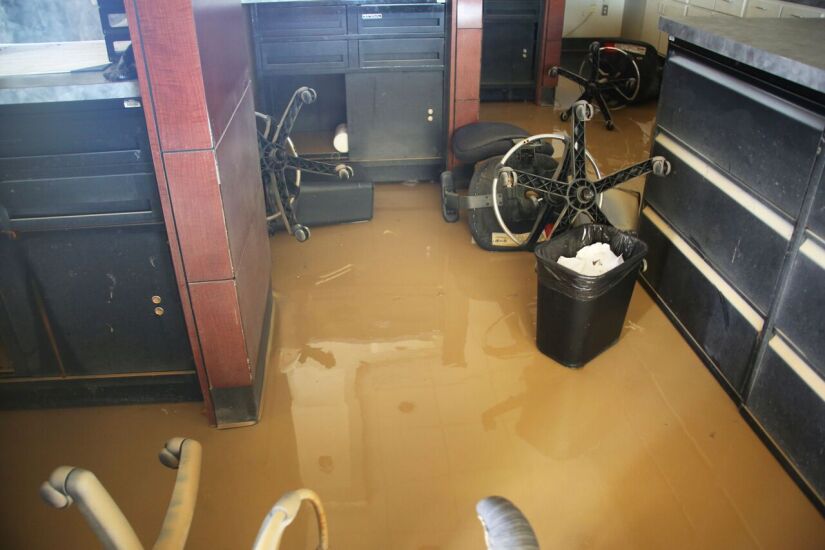 Pelican State 070717.jpg